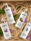 The Aromatherapy Oasis Kit