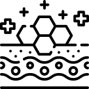xfoliation