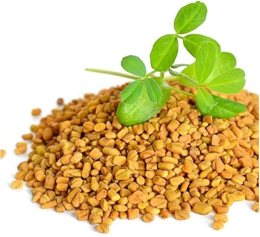 Methi / Fenugreek